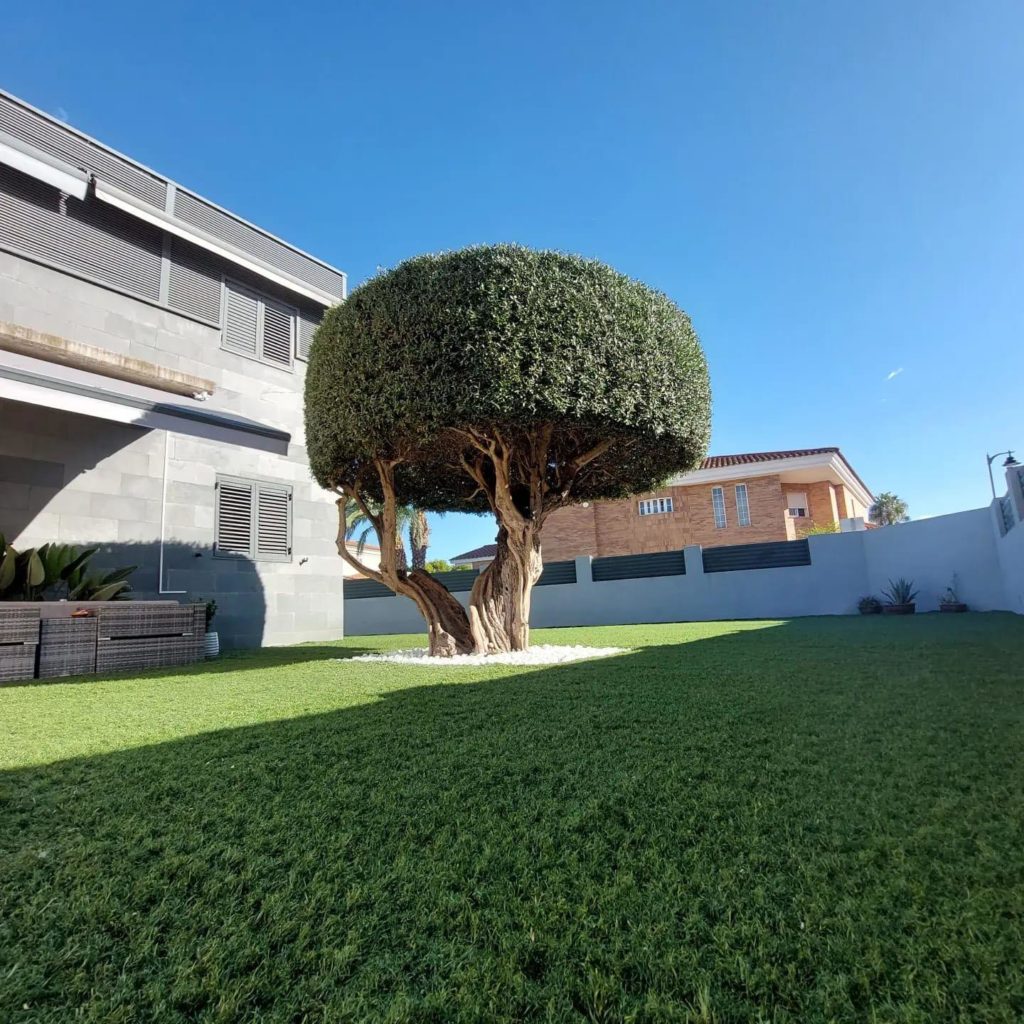 diseño y paisajismo exterior cespedart castellón